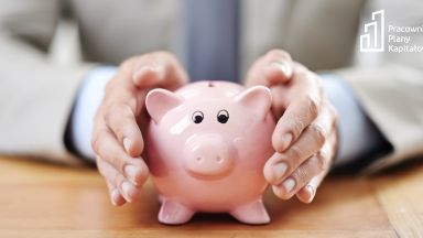 Zdjęcie artykułu czy-pieniadze-w-ppk-sa-bezpieczne-1023n
