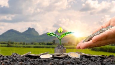 Zdjęcie artykułu do-oszczedzania-w-ppk-mozna-wrocic-w-kazdym-czasie