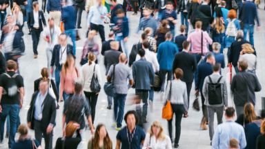 Zdjęcie artykułu Sprawne_wdrozenie_pierwszej_fazy_Pracowniczych_Planow_Kapitalowych__raport_IZFiA_oraz_IGTE