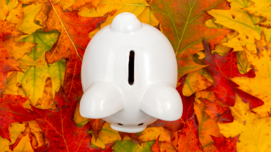 Zdjęcie artykułu kadryinfor-czy-w-ppk-trzeba-naliczyc-swiadczenia-niepieniezne-0823n