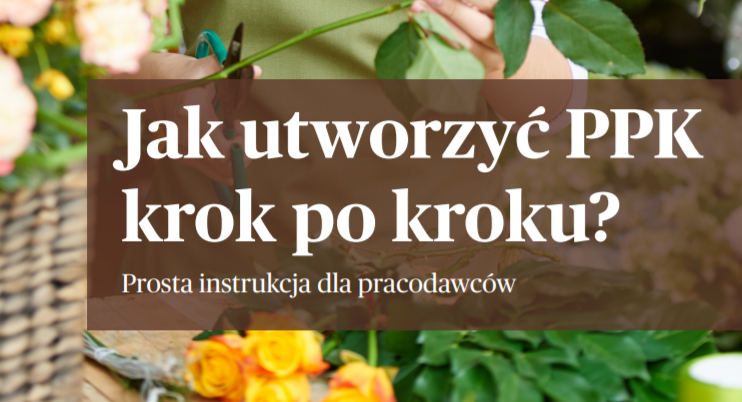 Zdjęcie artykułu Nowa_publikacja_Portalu_Jak_utworzyc_PPK_krok_po_kroku_Prosta_instrukcja_dla_pracodawcow