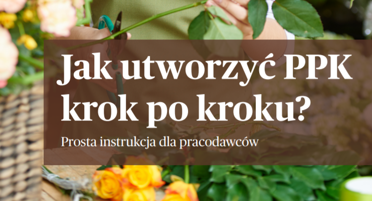 Nowa publikacja Portalu: „Jak utworzyć PPK krok po kroku? Prosta instrukcja dla pracodawców”