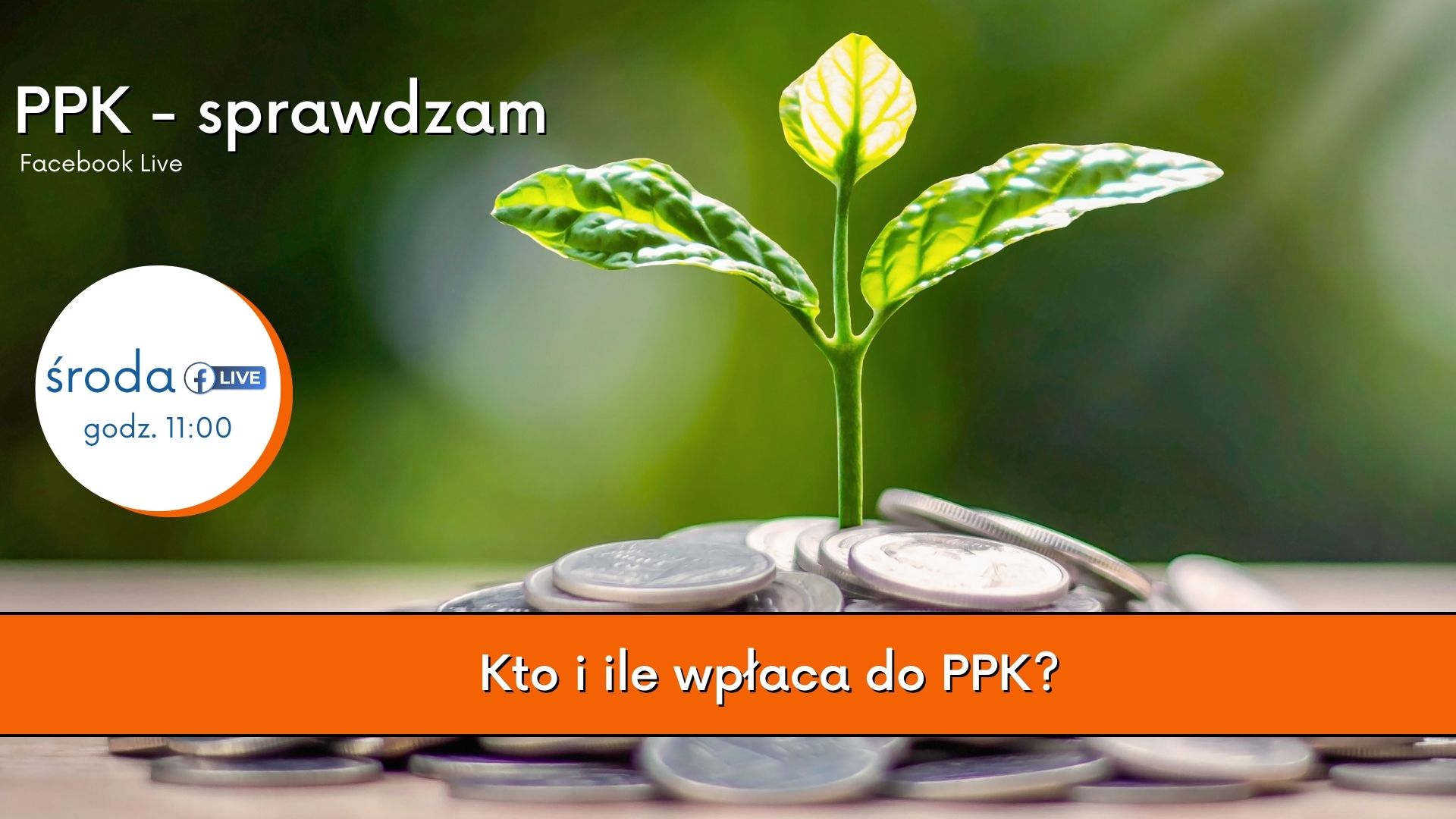 PPK sprawdzam: Kto i ile wpłaca do PPK?