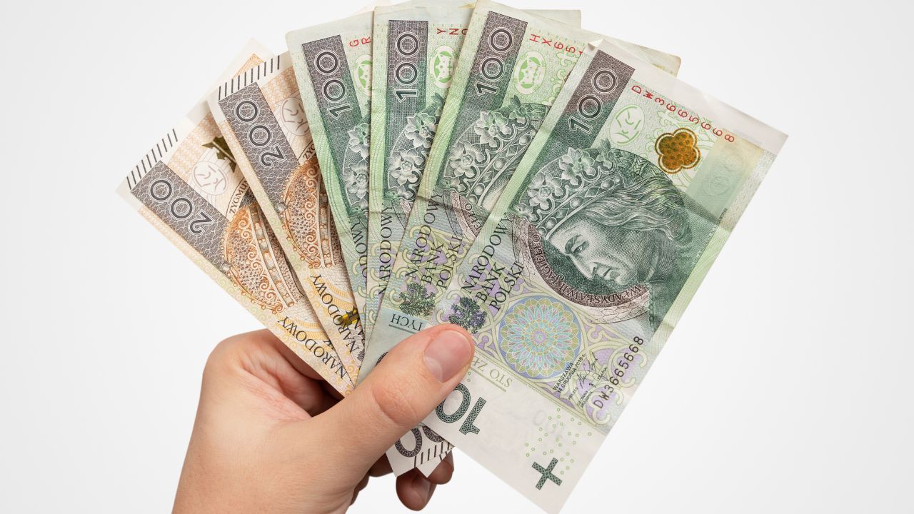 Uczestnictwo w PPK to tani sposób oszczędzania